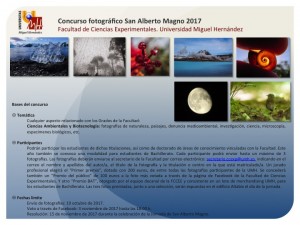 Concurso Fotográfico S. Alberto Magno 2017