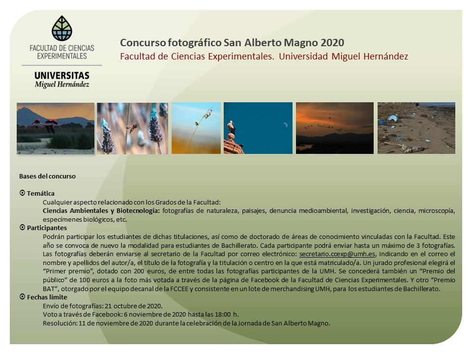 Concurso Fotográfico S. Alberto Magno 2020